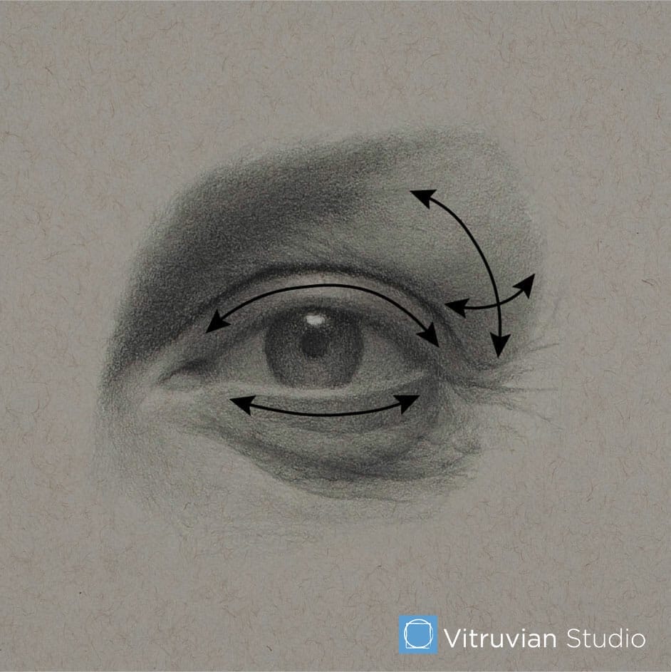 This in-progress shot of the eye drawing shows how we want to think about the "turning" of the form while developing value gradations.