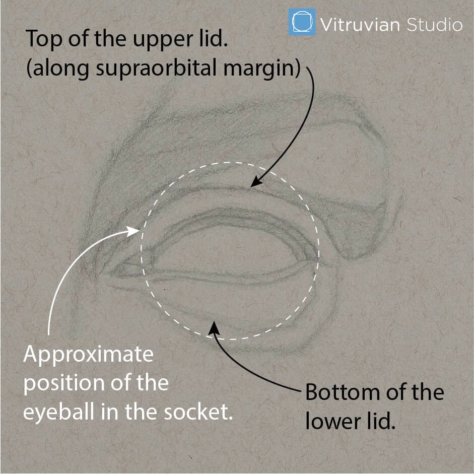 Drawing in-progress with approximate position of the eyeball diagramed.